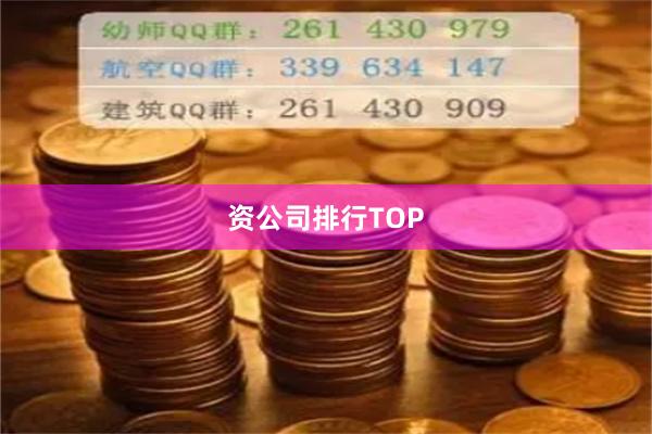 资公司排行TOP
