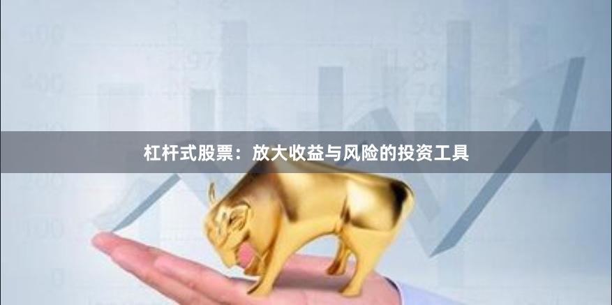 杠杆式股票：放大收益与风险的投资工具